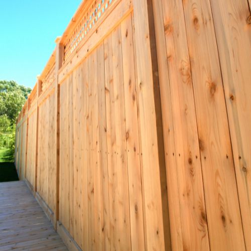 Fence Installation & Staining in Trenton, TX